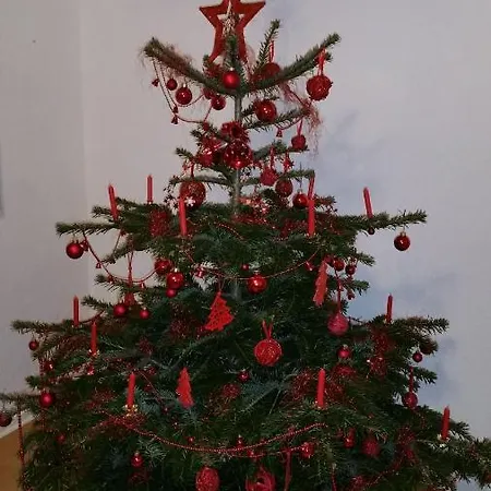 Ferienhaus Sylvia Bothe * Zorge